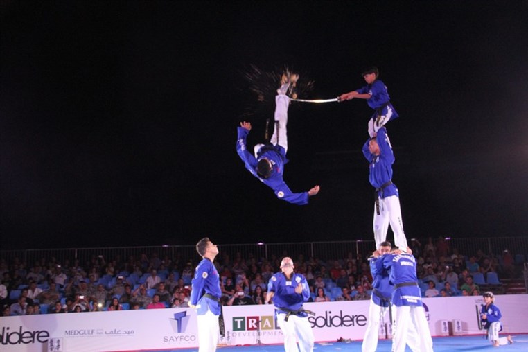 Martial Arts Festival
